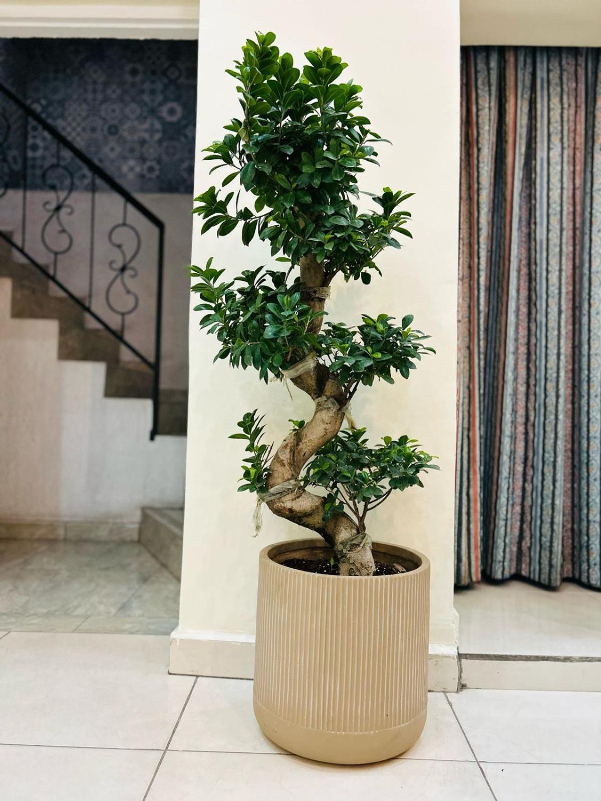 Zaman Ya Zaman Boutique Hotel Εξωτερικό φωτογραφία